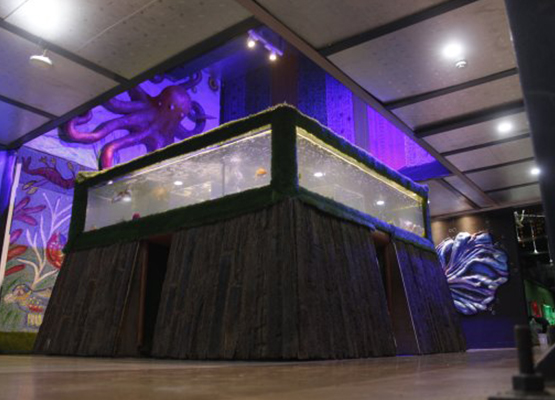 Aquarium Blog Image