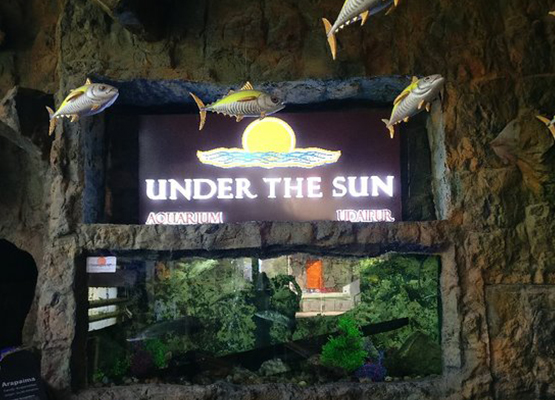 Aquarium Blog Image